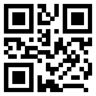 3208013110 QrCode associato