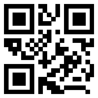 3208013325 - Immagine del Qr Code associato