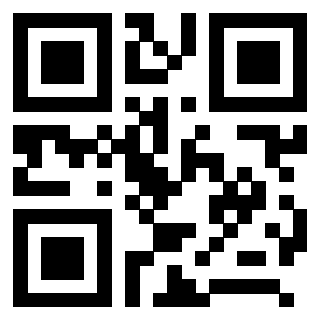 3208013376 - Immagine del Qr Code associato
