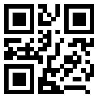 3208013651 - Immagine del QrCode