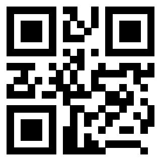 3208013891 - Immagine del Qr Code associato