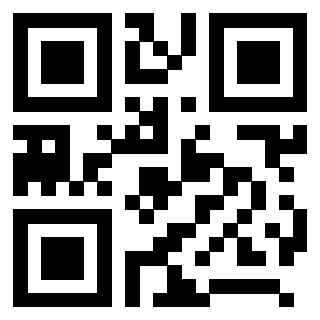 3208101318 - Immagine del QrCode
