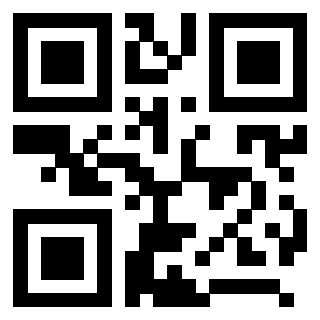 3208101902 QrCode associato