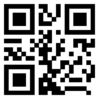 3208256958 QrCode associato