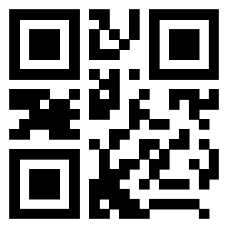 3208256999 - Immagine del QrCode
