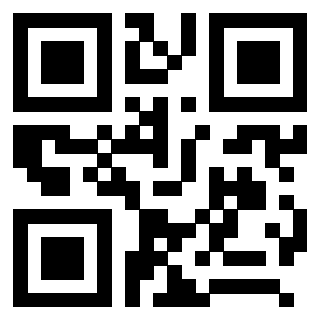 3208257691 QrCode associato