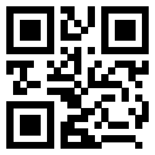 3208290041 QrCode associato