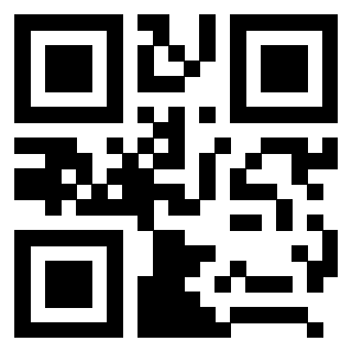 3208290062 - Immagine del QrCode