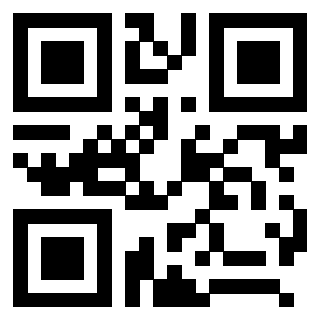 3208290091 - Immagine del Qr Code associato