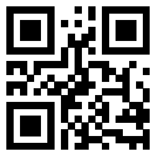 QrCode di 3208290281