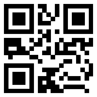 3208290790 - Immagine del QrCode