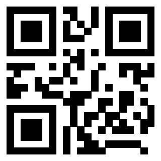 3208311919 - Immagine del QrCode
