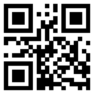 3208312025 QrCode associato