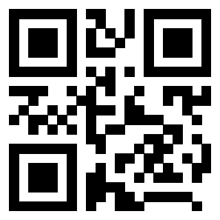 QrCode di 3208325971