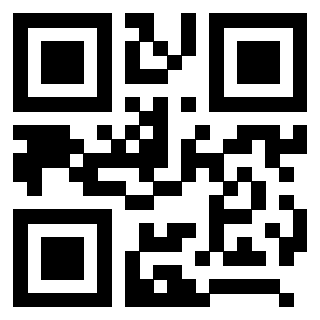 Il Qr Code di 3208375607