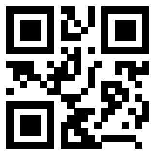 Il Qr Code di 3208423923