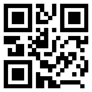 QrCode di 3208424038