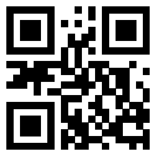 QrCode di 3208474607