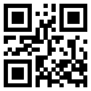 Il Qr Code di 3208523929