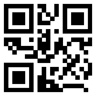 QrCode di 3208528113