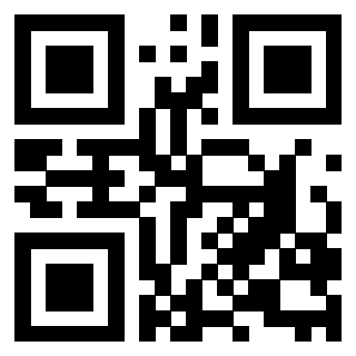 QrCode di 3208528171