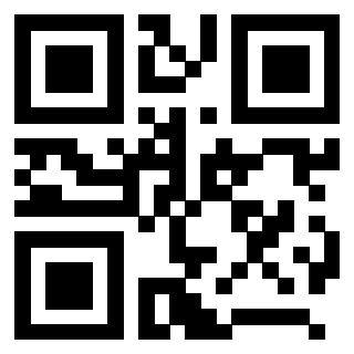 QrCode di 3208528272