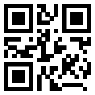 QrCode di 3208528317