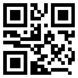 QrCode di 3208528506