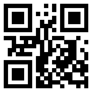 QrCode di 3208528733
