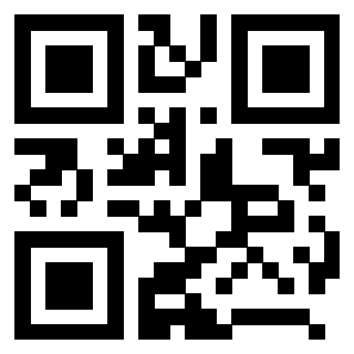 QrCode di 3208541494