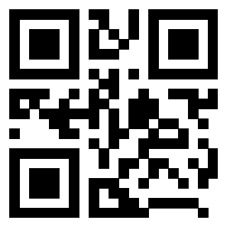 QrCode di 3208541589