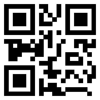 QrCode di 3208541923