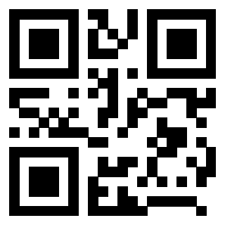 Il Qr Code di 3208683203