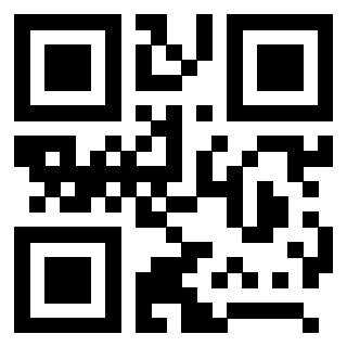 QrCode di 3208684052
