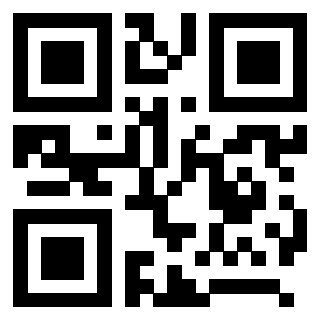 3208788613 - Immagine del QrCode