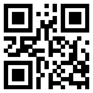 Il Qr Code di 3208789008