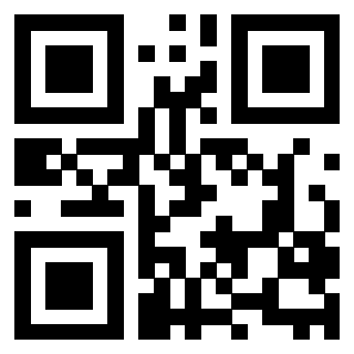 QrCode di 3208789033