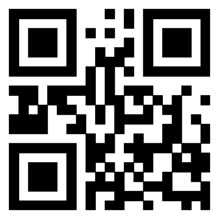 QrCode di 3208789053