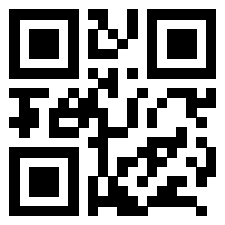 QrCode di 3208819065