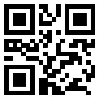Il Qr Code di 3208894668