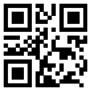 Il Qr Code di 3208894903
