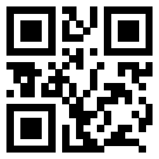 QrCode di 3208894919