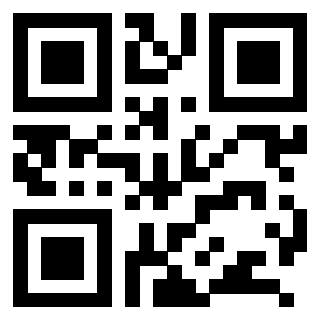 Il Qr Code di 3208895008