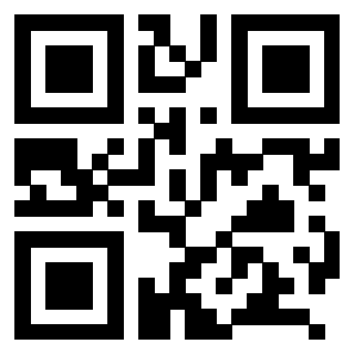 QrCode di 3208944281