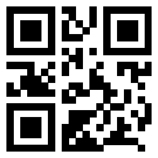 QrCode di 3208977981