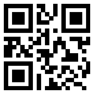 3209047513 - Immagine del QrCode