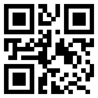 3209063102 - Immagine del QrCode