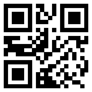 Il Qr Code di 3209139000