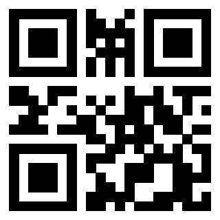 3209331333 QrCode associato