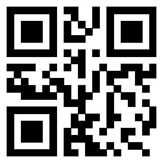 QrCode di 3209338787